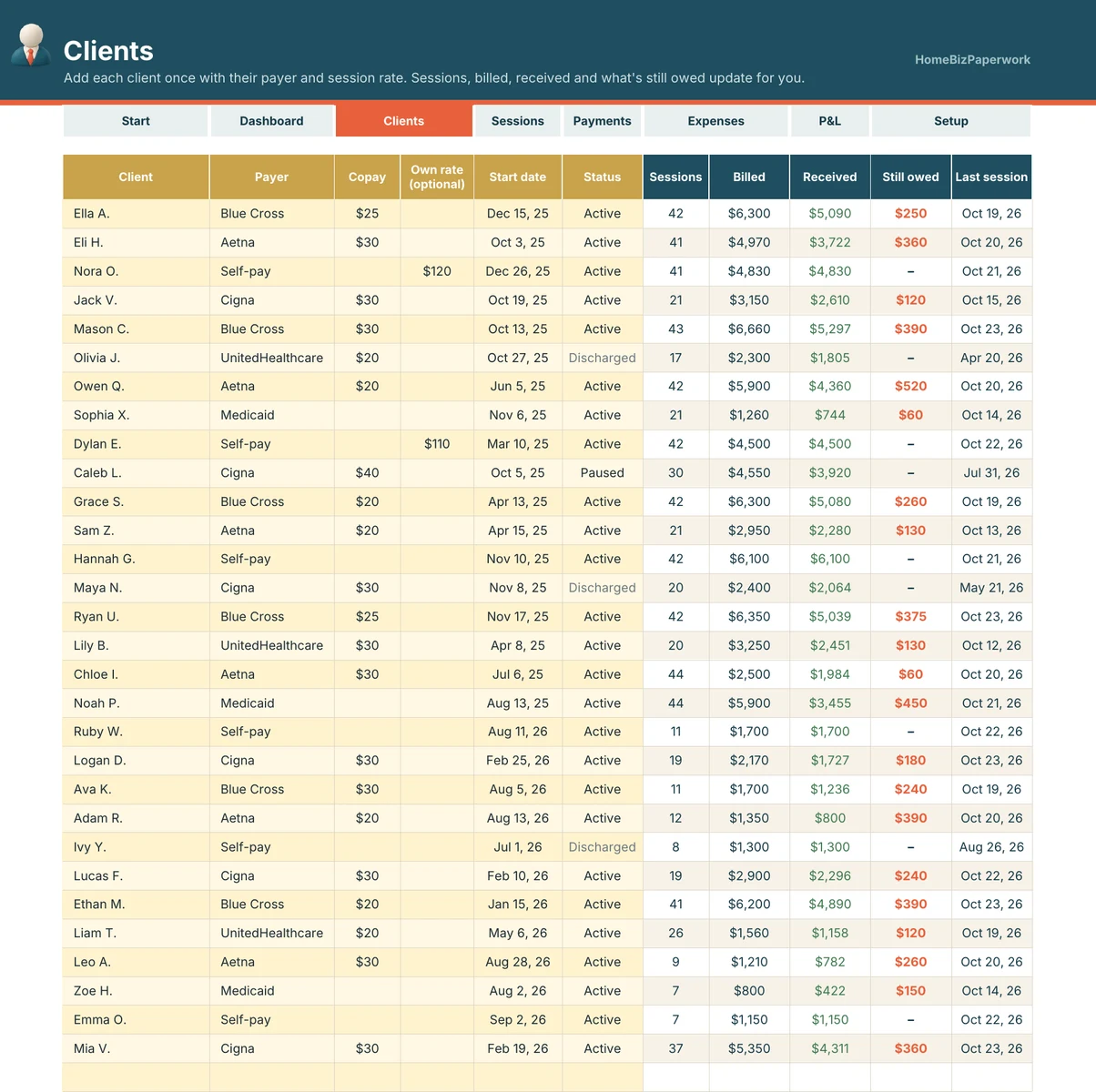Private Practice Bookkeeping — Clients screen with example data